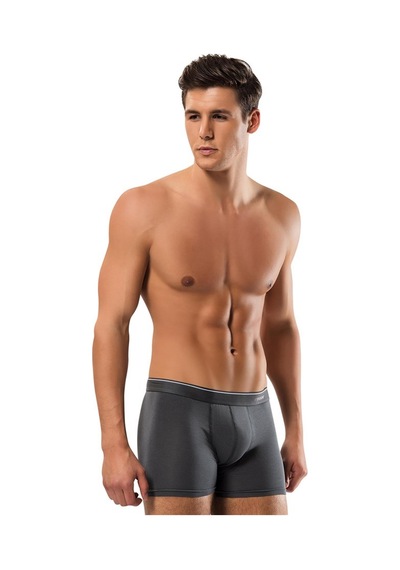 Erdem Füme-gri-lacivert -- 3'lü Basic Boxer 1491 Füme - Gri - Lacivert