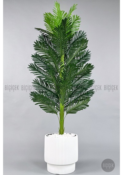 Yapay Areka Ağacı 160-180 Cm H