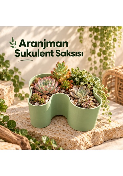 Aranjman Sukulent Saksısı - Modern Tasarımlı Bitki Saksısı