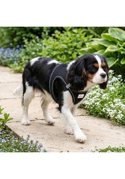 Köpek Ve Kedi Göğüs Tasması Xl Nefes Alabilen File Kumaş Ayarlanabilir Yelek Tasarım Yansıtıcı Şeritli Küçük Irk Köpek Ve Kediler İçin