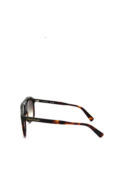 Longchamp Lo 751s 320 Erkek Güneş Gözlüğü Yeşil