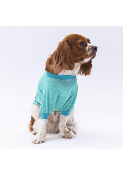 Pawstar Mint Everything Kedi Köpek Sweati Kıyafeti