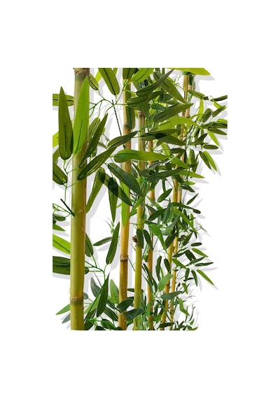 Cihan Çiçekçilik Bambu Seperatör 175 Cm 6 Adet Bambu 72 Cm Beyaz Saksı Beyaz- Yeşil