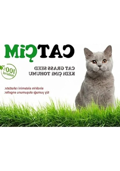 Doğal Kedi Çimi Tohumu Karışımı, 250 Gram, İlaçsız Ve Sağlıklı