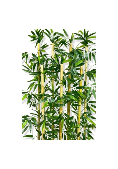 Cihan Çiçekçilik Bambu Seperatör 7 Adet Bambu Yoğun Yaprak 120 Cm 54x20x120 Beyaz- Yeşil