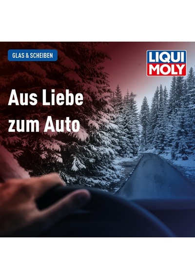 Liqui Moly Disk Frost Konsantresi Diğer