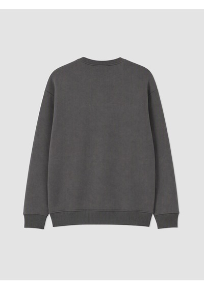 Lcw Vision Gri Bisiklet Yaka Erkek Kalın Sweatshirt