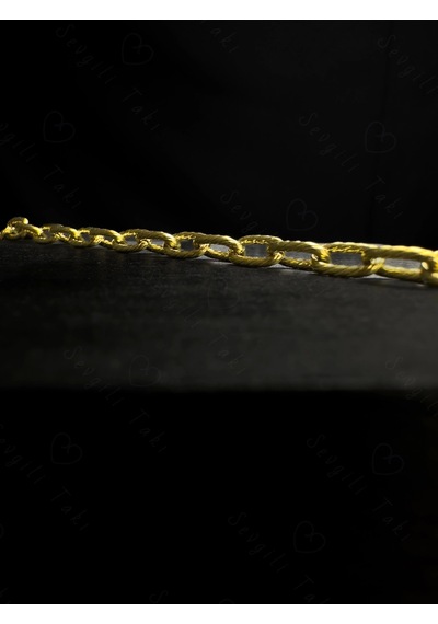 Paperclip Zincirli Gold Çelik Kedi Tasması/aksesuarı Meow Serisi