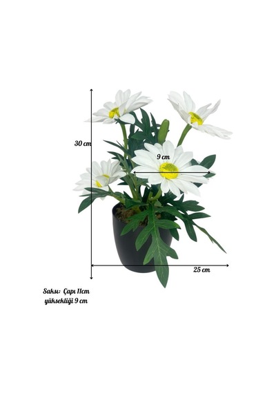 Yapay Çiçek Beyaz Margarit Papatya Siyah Saksıda Dekoratif Yapay Çiçek 30 25cm