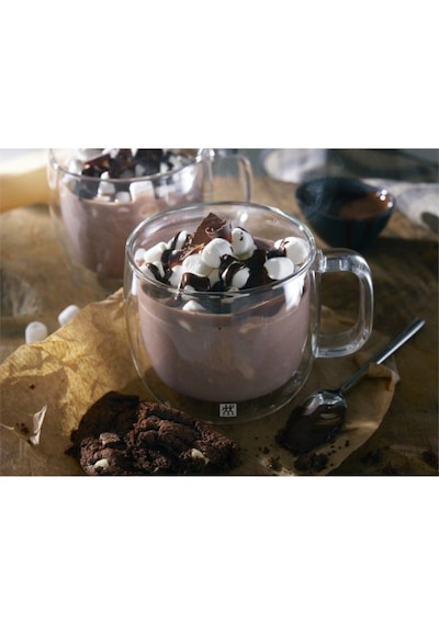 Zwilling 395001130 Çift Camlı 2'Li Kulplu Cappucino Bardağı