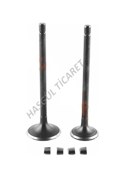 Hsgl Motorsiklet Fızzy DQ Honda Sibop Tırnaklı 51507