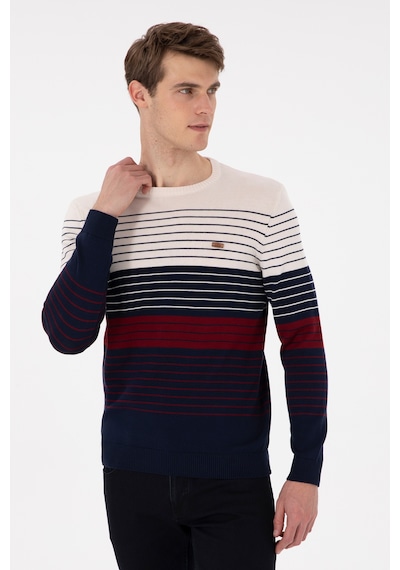 U.S. Polo Assn. Erkek Lacivert Kazak 50297071-VR033