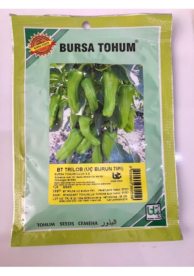 Bursa Trilob Üçburun Biber Tohumu