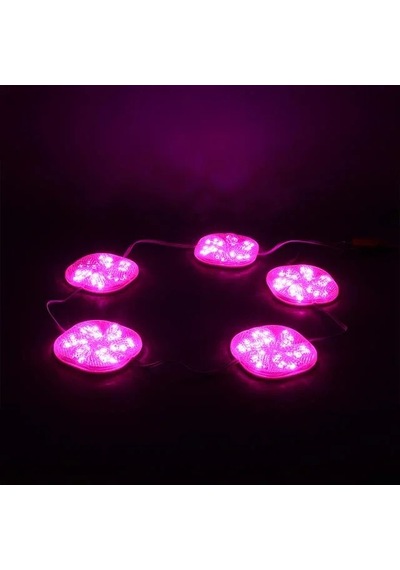 Powermaster Pm-14701 12 Volt 3 Watt Pembe Yanıp Sönen Çakar 6565-2835 Modül Led 65x65x12mm