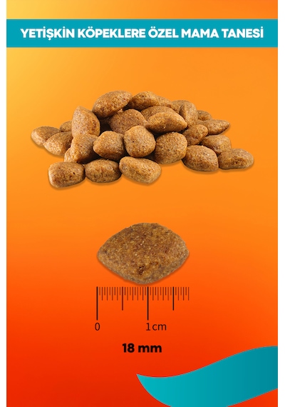 Kuzu Ve Pirinçli Yetişkin Köpek Maması Maintenance 3kg