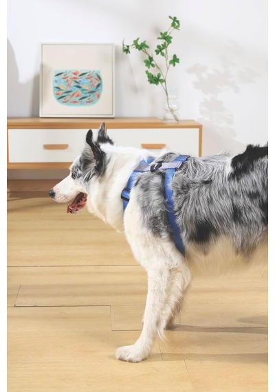 Gentle Dog Göğüs Tasması Blue M