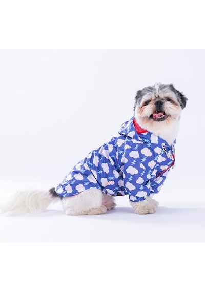 Pawstar Tonitruum Fileli Köpek Montu Köpek Yağmurluk