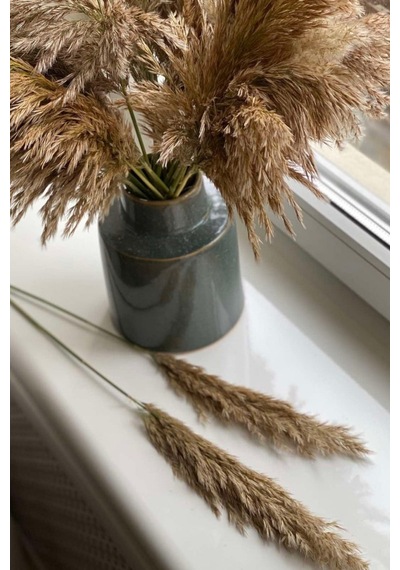 Dekoratif 7'li Natural Pampas 100 Cm Doğal