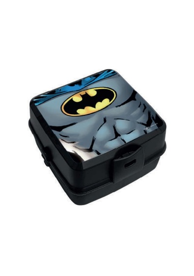 Batman Beslenme Kutusu 2900 Çok Renkli