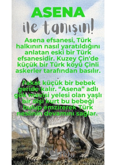 Petjoo 25.Asena Gri-Yeşil Qr'lı Köpek Künyesi