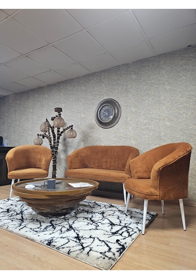 Zafir Teddy Takım Beyaz Boyalı Sivriltme Ayak Çay Seti Koltuk - Berjer , Balkon, Salon, Ofis Kiremit Zafir Teddy Takım Beyaz Boyalı Sivriltme Ayak Çay Seti Koltuk - Berjer , Balkon, Salon, Ofis Kiremit