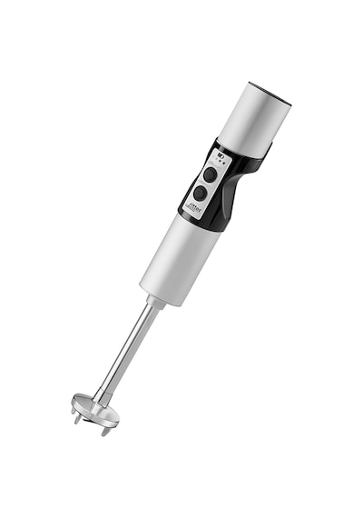 Ritter Vertico 7 120 W Şarjlı Kablosuz El Blenderi