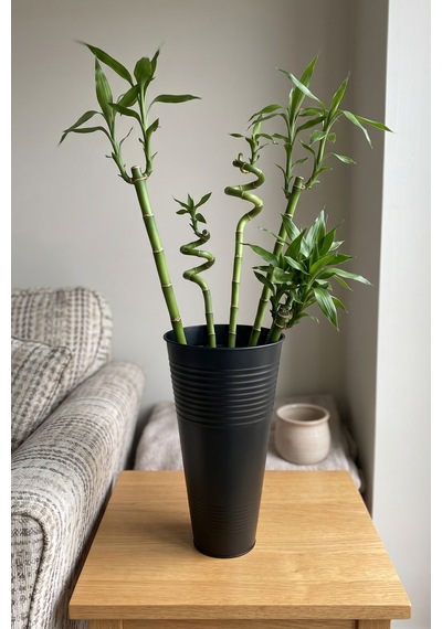 Uzun Metal Saksı & Vazo - 40 Cm Ofis Ve Ev İçin Modern Çok Amaçlı Saksılık 21x11/40 Cm Siyah