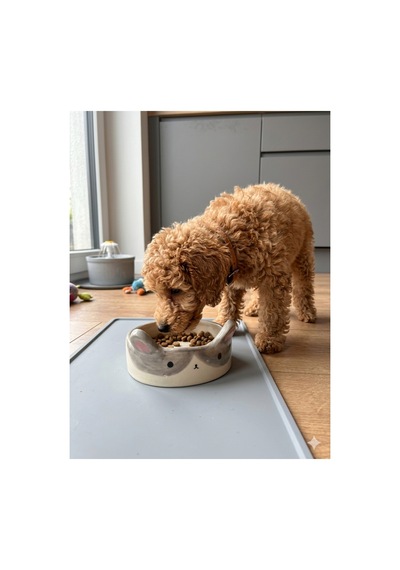 Tavşancık Mama Kabı Seramik - Küçük Irk Köpek Ve Kedi