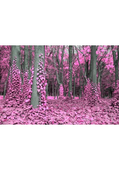 Pembe Yapraklı Romantik Orman Manzarası Duvar Kağıdı