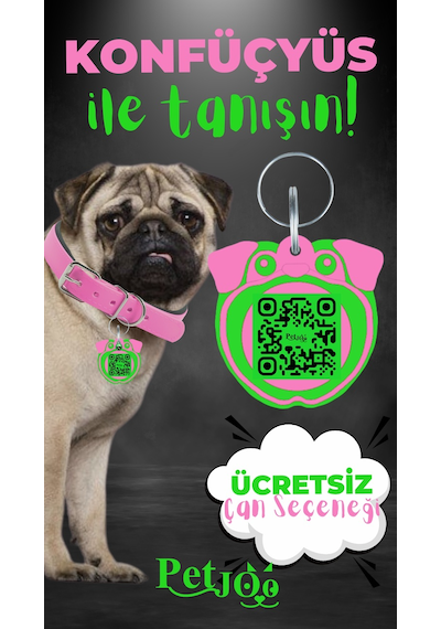 Petjoo 9.Konfüçyüs Yeşil-Pembe Qr'lı Köpek Künyesi