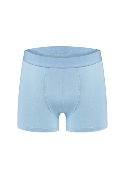 Efsi 3014 Erkek Boxer 001