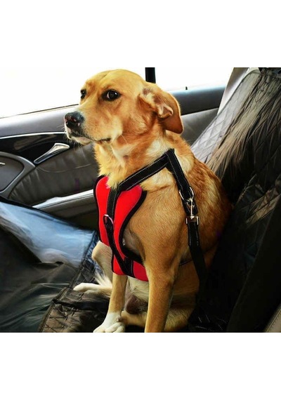 Köpek Araç Emniyet Kemeri Ve Tasması Arnav Kırmızı, L Çok Renkli