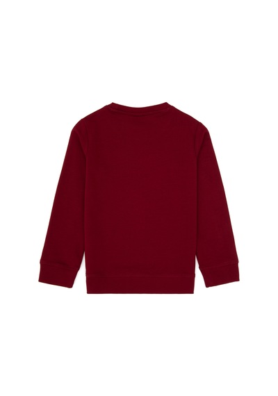 U.S. Polo Assn. Erkek Çocuk Bordo Bisiklet Yaka Sweatshirt 50313900-VR014