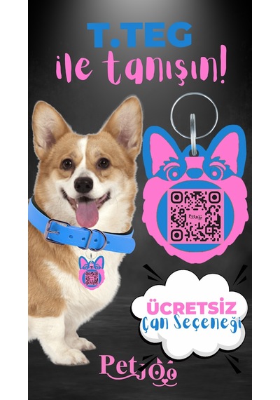 Petjoo 15.T.Teg Pembe-Mavi Qr'lı Köpek Künyesi