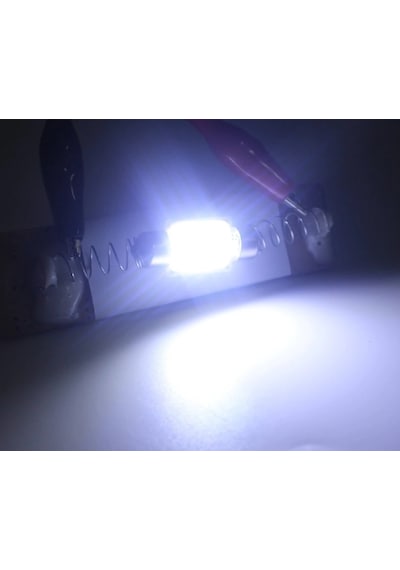 12 Çipli Led Sofit Ampul 31Mm Araç İçi Tavan Aydınlatma Ampulü