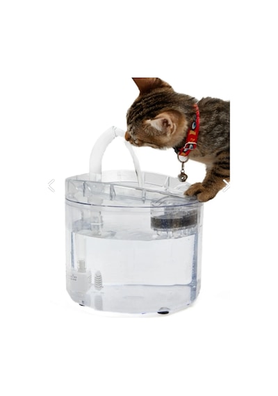Renetic Işıklı Kedi Köpek için Sessiz Şeffaf Otomatik Su Pınarı Su Çeşmesi Su Sebili Adaptörlü