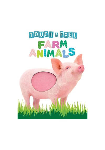 Farm Animals Touch And Feel Board Book Little Hippo Books