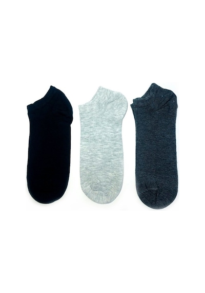 Ozzy Socks 3'Lü Unisex Dikişsiz Patik Çok Renkli Ozzy Socks 3'Lü Unisex Dikişsiz Patik Çok Renkli