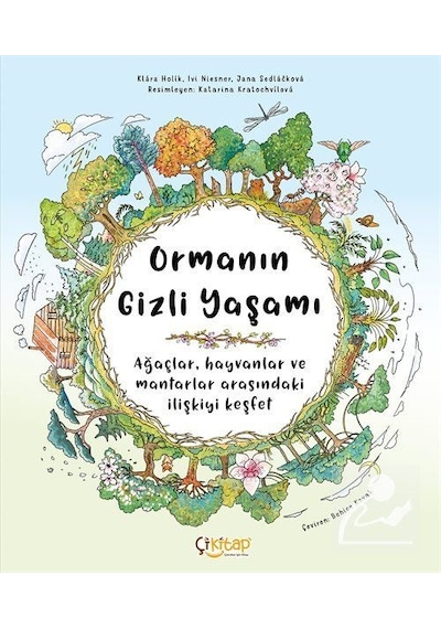 Ormanın Gizli Yaşamı / Klara Holik