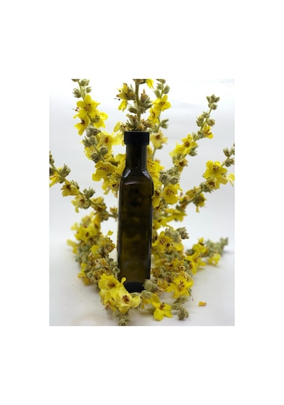Sığır Kuyruğu Otu Hidrosolü 250 ML