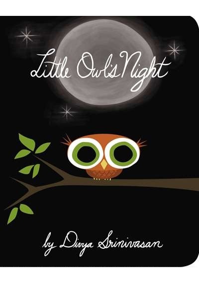 Little Owl's Night 9780670015795