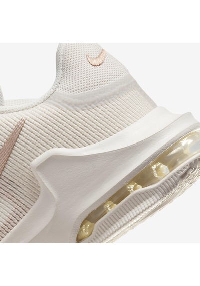 Nike Impact 4 Erkek Basketbol Ayakkabısı Dm1124-008 Bej