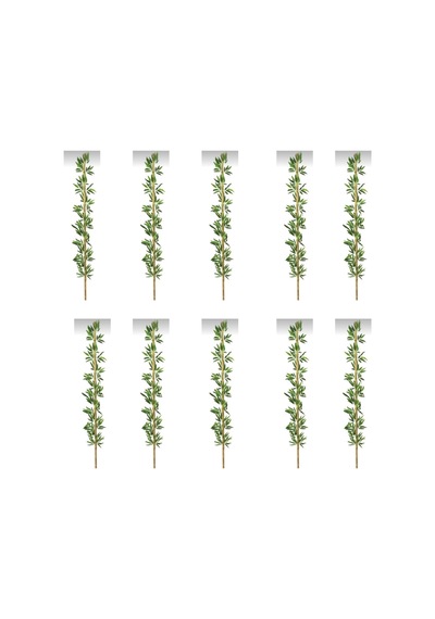 Rüzgar Yapay Çiçekçilik 220 Cm 10 Adet Bambu Yeşil