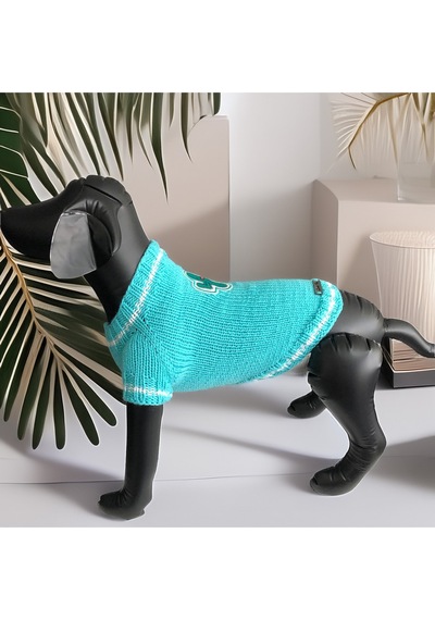 Köpek İçin Kaktüslü Turkuaz Kazak