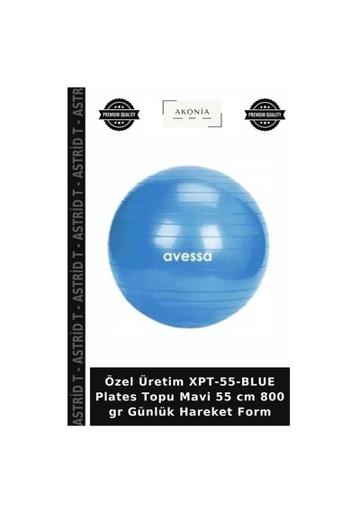 Özel Üretim Xpt-55-blue Plates Topu Mavi 55 Cm 800 Gr Günlük Hareket Form