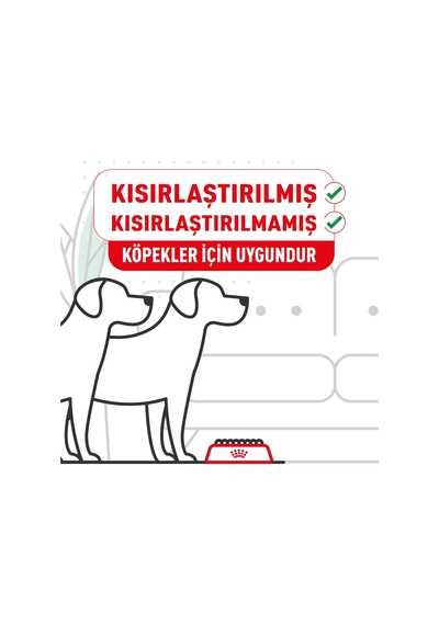 Royal Canin Mını Adult Küçük Irklar Için Kuru Köpek Maması 8kg