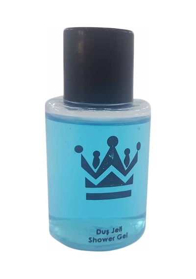 Toptan24 Otel Tipi Mini Duş Jeli 500 x 30 ML