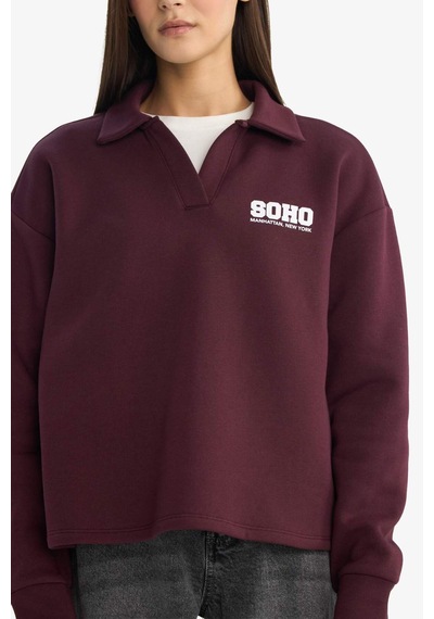 Defacto Coool Oversize Geniş Kalıp Polo Yaka Baskılı Sweatshirt G3721ax25wnbr171 Bordo-br171