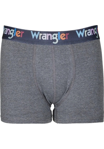 Wrangler Erkek Gri Iç Çamaşır W231758003