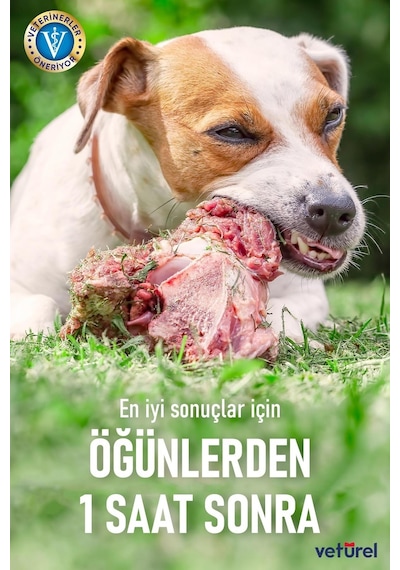 Veturel Kedi Köpek Göz Ağız Kulak Uyuzu Koku  Bakım Seti 3 x 100 ML